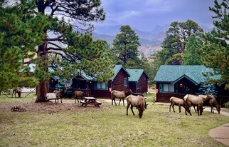 Mountain Shadows Cabins Estes Park - 1031 Exchange Property