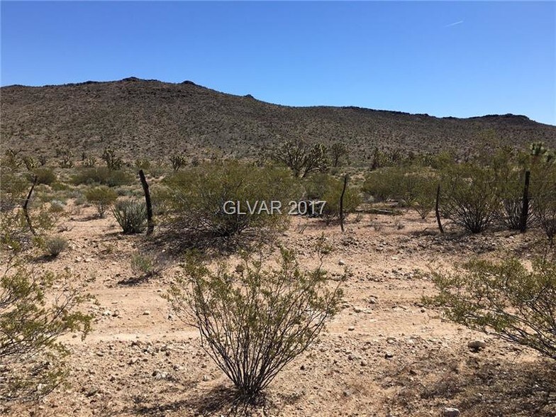 107 Dolan Spgs, Dolan Springs, AZ 86441