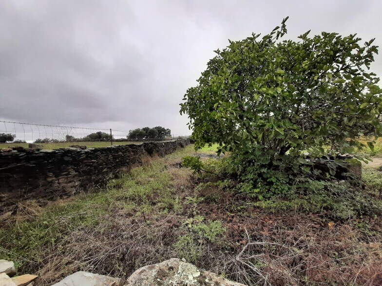 Land in Cáceres for sale - Building Photo - Image 3 of 13