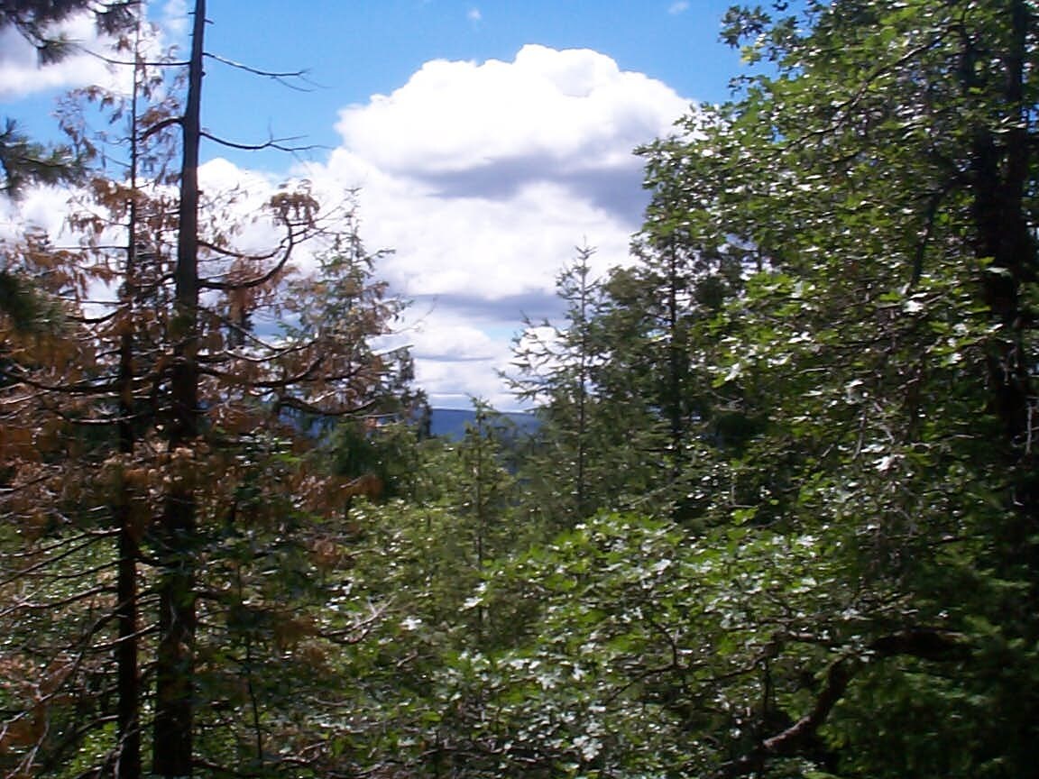View Photo