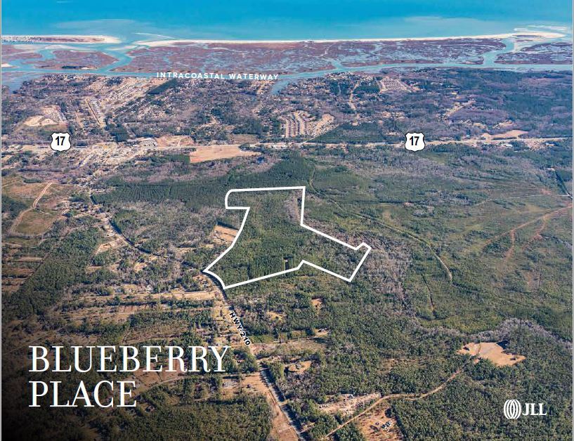 88 Berry Patch Rd, Hampstead, NC for sale Primary Photo- Image 1 of 1