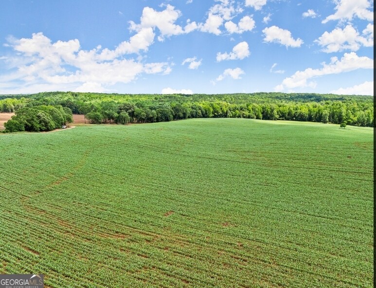 1107 Davis Rd, Jefferson, GA for sale Building Photo- Image 1 of 1