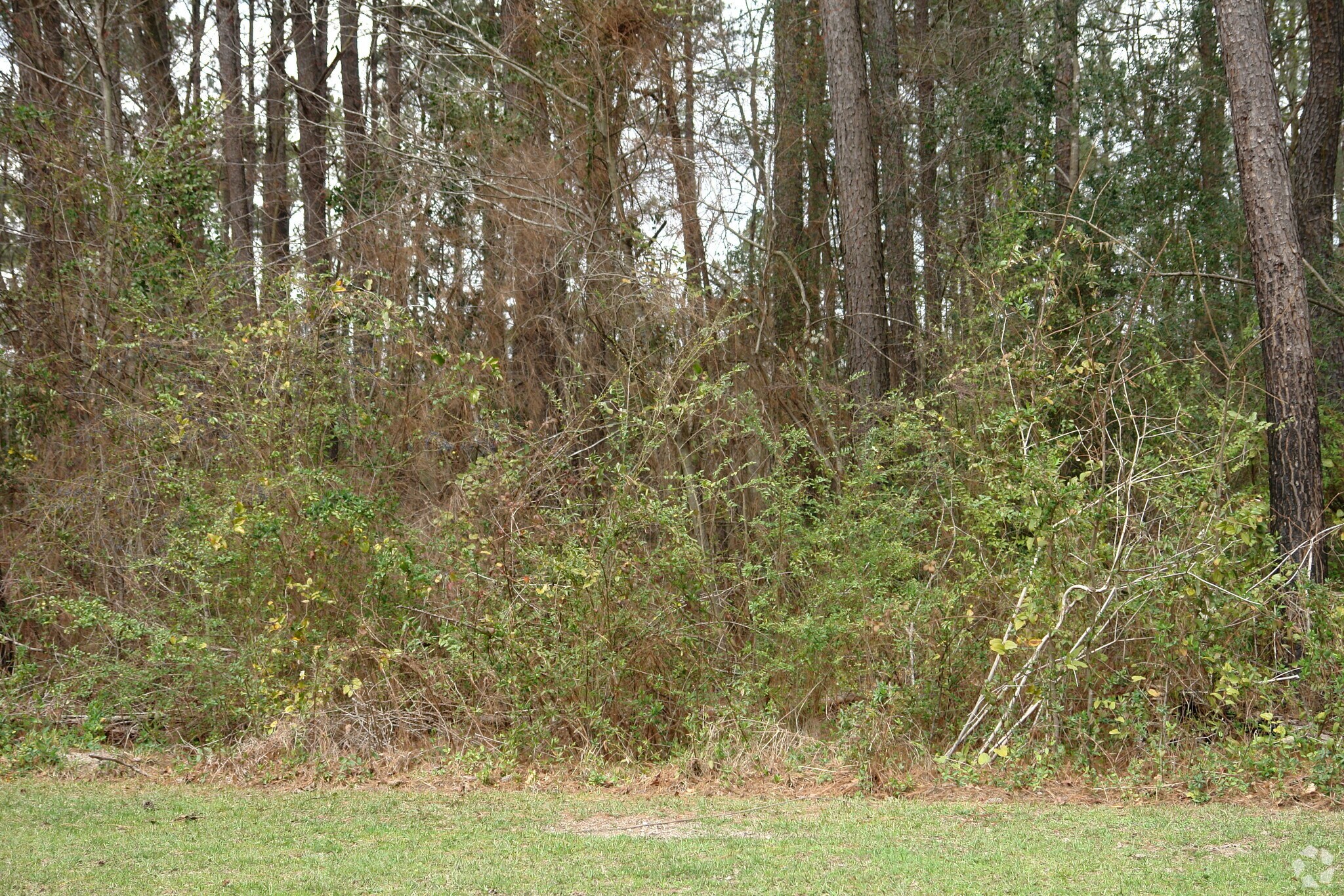 North Leg Rd, Augusta, GA for sale Primary Photo- Image 1 of 1