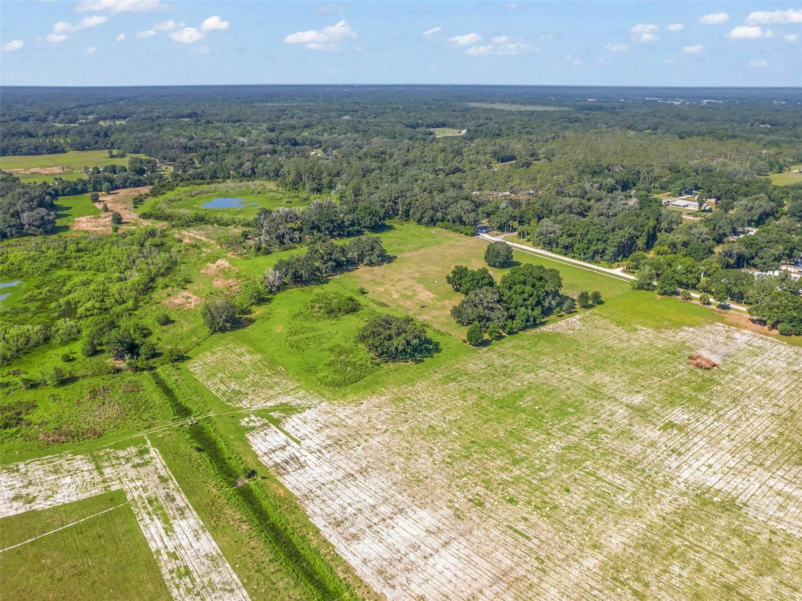 CR 603, Bushnell, FL 33513 Land for Sale