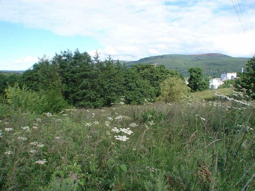 A941, Rothes for sale Primary Photo- Image 1 of 1