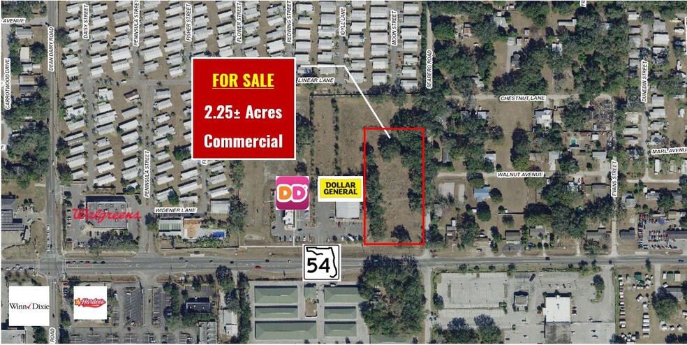 State Road 54 & Seaberg Rd, Zephyrhills, FL for sale - Building Photo - Image 2 of 4