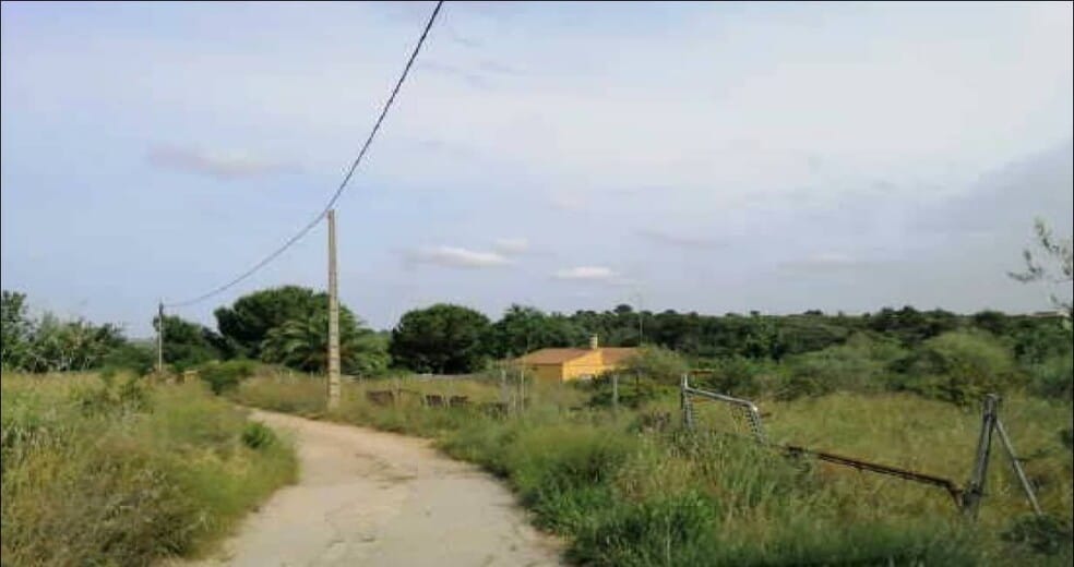 el Timo, Monserrat, Comunidad Valenciana, 7, València, Valencia for sale - Building Photo - Image 3 of 3