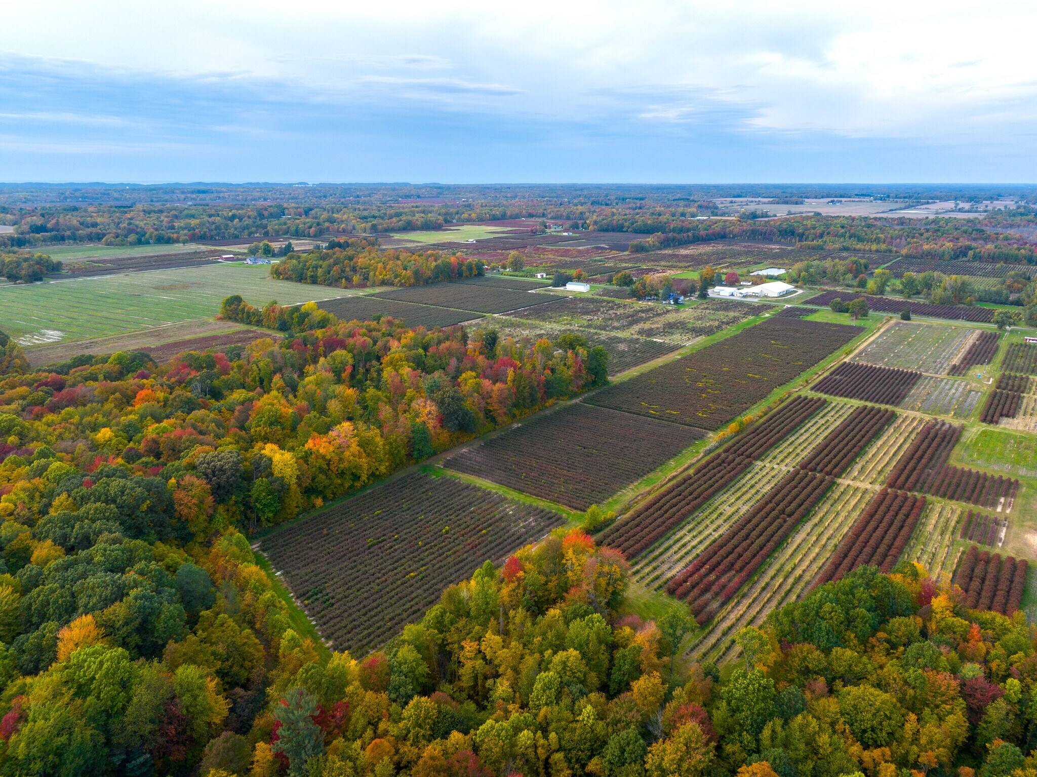 68th Street, Covert, MI for sale Primary Photo- Image 1 of 1