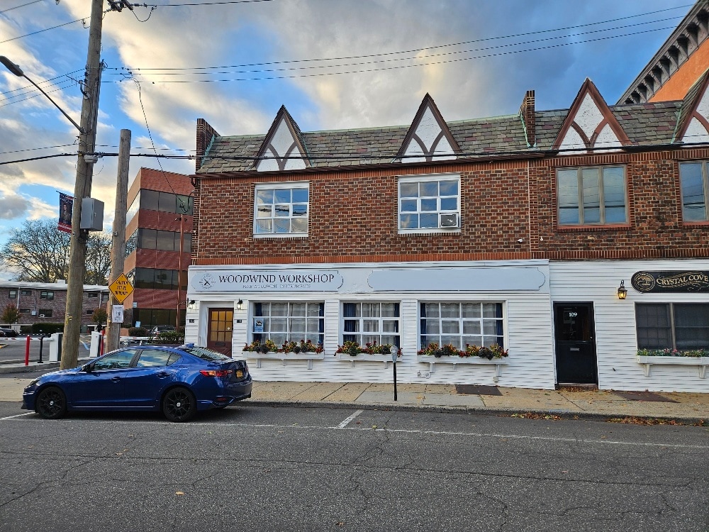 111-113 S Tyson Ave, Floral Park, NY for lease Building Photo- Image 1 of 21