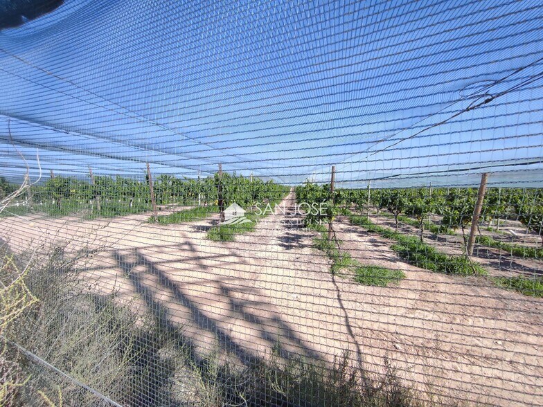 Land in Alicante, Alicante for sale - Building Photo - Image 2 of 8