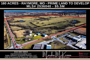1101 E Walnut St, Raymore MO - Investment Property
