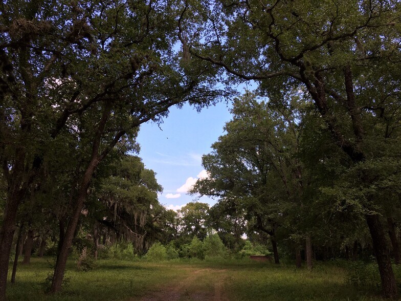 3333 Bowser Rd, Fulshear, TX 77441 Prime 95 Acres on Bowser Road