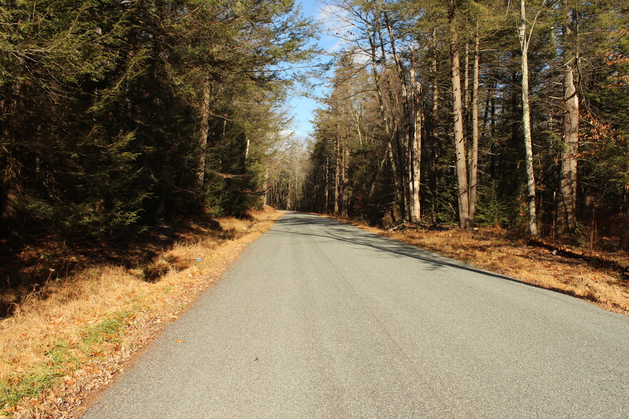 Taylor Rd, Mountaindale, NY for sale - Aerial - Image 3 of 3