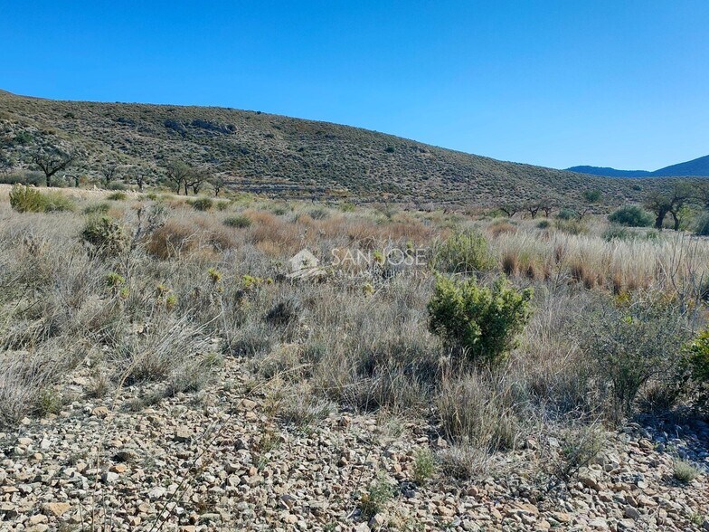 Land in Hondón de los Frailes for sale - Building Photo - Image 1 of 6