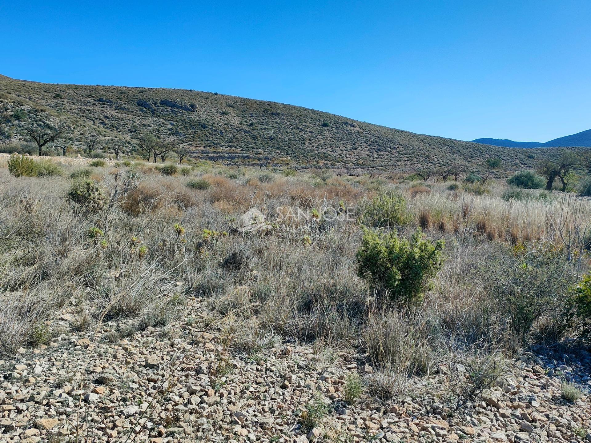 Land in Hondón de los Frailes for sale Building Photo- Image 1 of 7