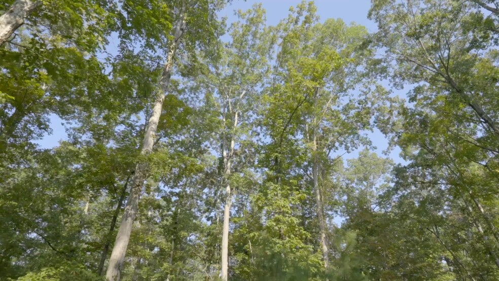 2903 Steele Rd, Griffin, GA for sale - Commercial Listing Video - Image 2 of 25