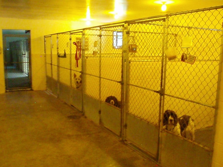 1140 Weber Rd, Loveland, OH for sale - Interior Photo - Image 3 of 30