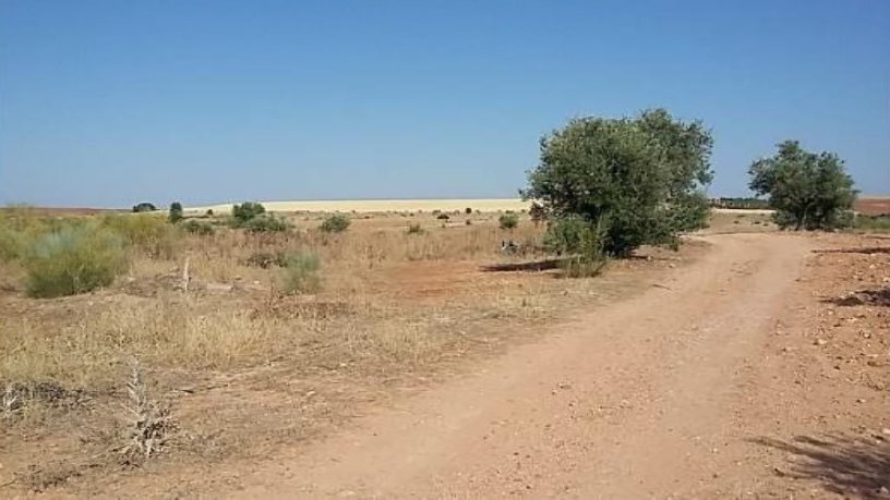 Polig. 1, R-5 Cañadilla portfolio of 5 properties for sale on LoopNet.com - Other - Image 2 of 11