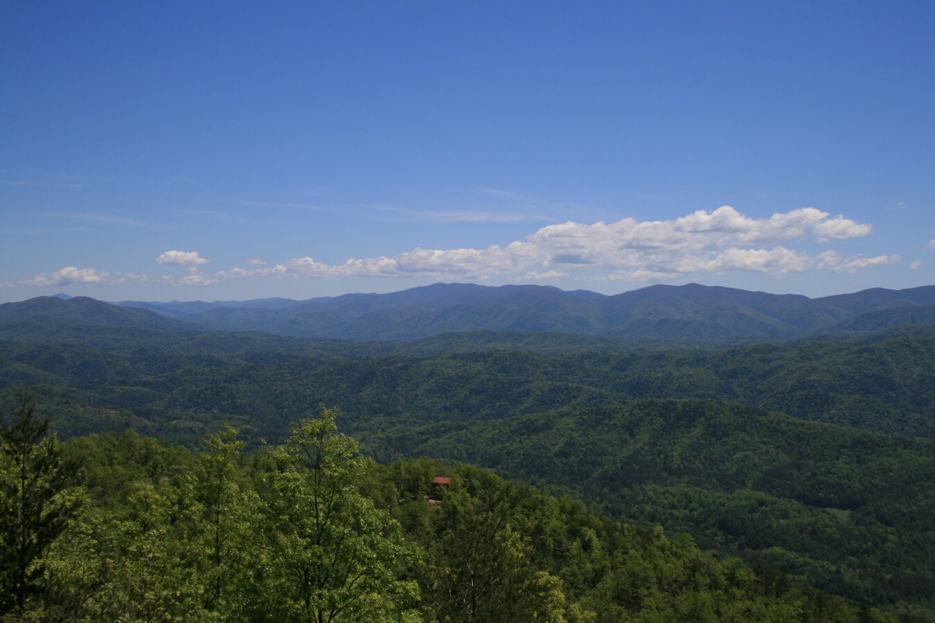 Chilhowee Mountain Trl, Maryville, TN 37803