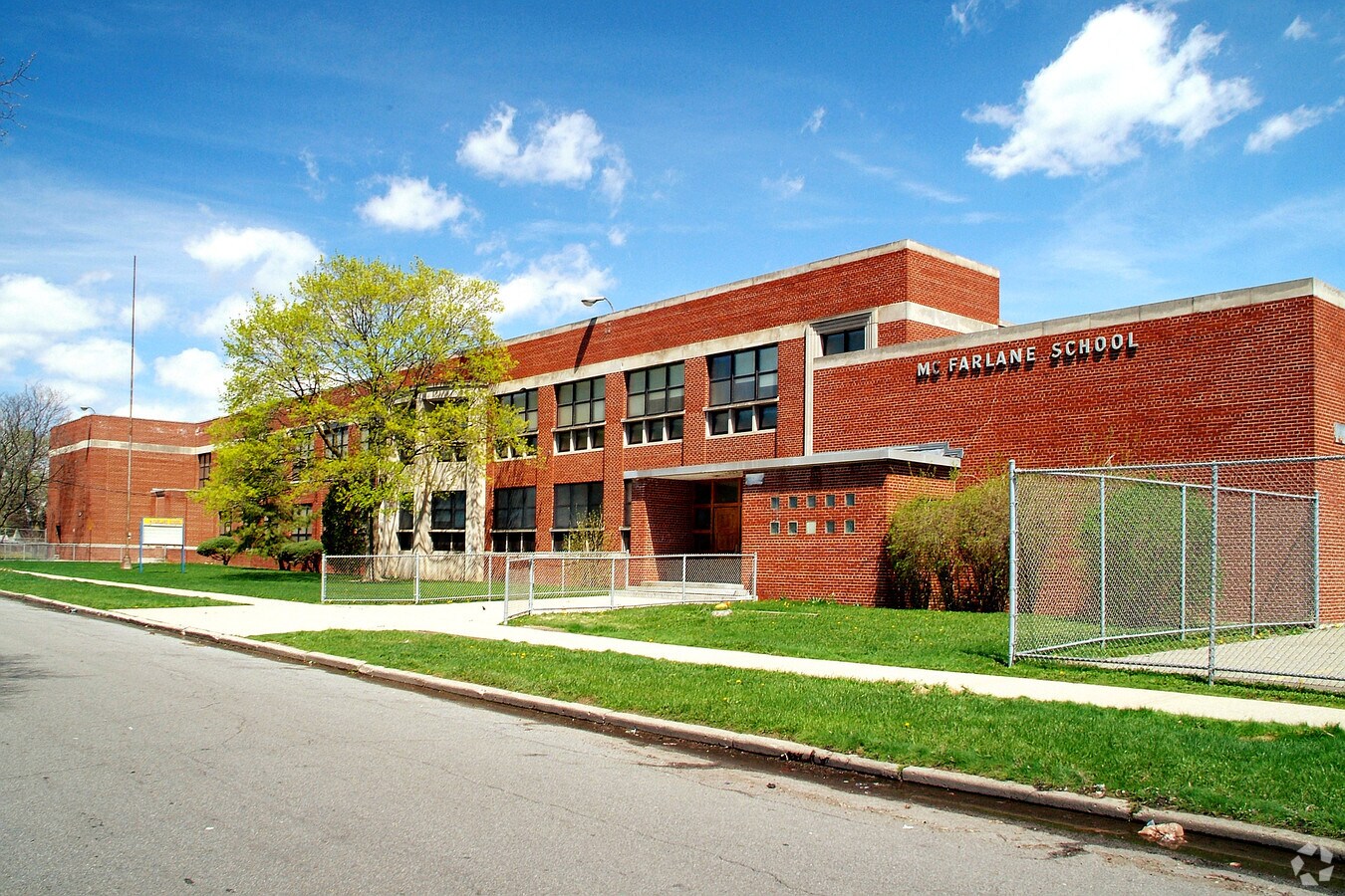Primary Photo