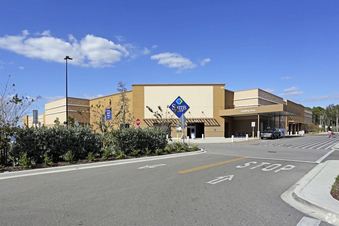 Primary Photo