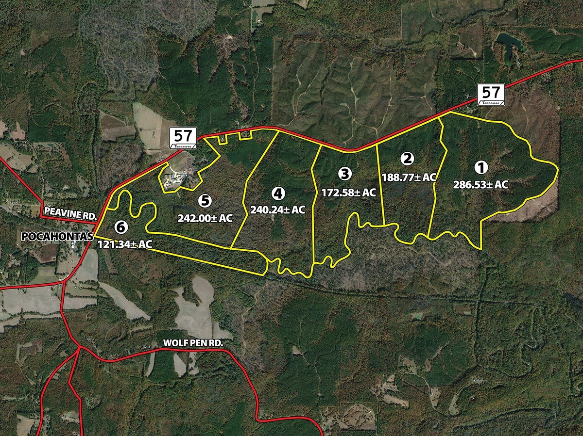 57 Pocahontas rd, Pocahontas, TN for sale Building Photo- Image 1 of 13