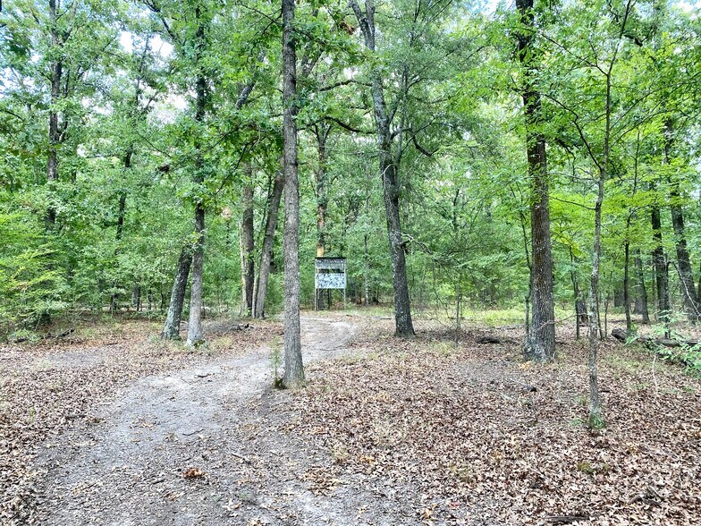 TBD County Road 1460, Bogata, TX 75417 Land for Sale