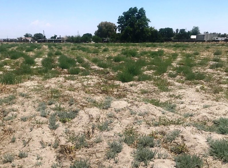 2303 Van Dorsten Ave, Corcoran, CA for sale - Other - Image 1 of 1