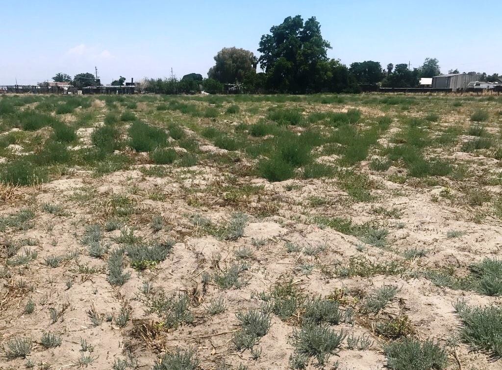 2303 Van Dorsten Ave, Corcoran, CA for sale Other- Image 1 of 1