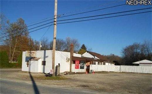 4552 Maple Dr, Newton Falls, OH for sale Primary Photo- Image 1 of 1