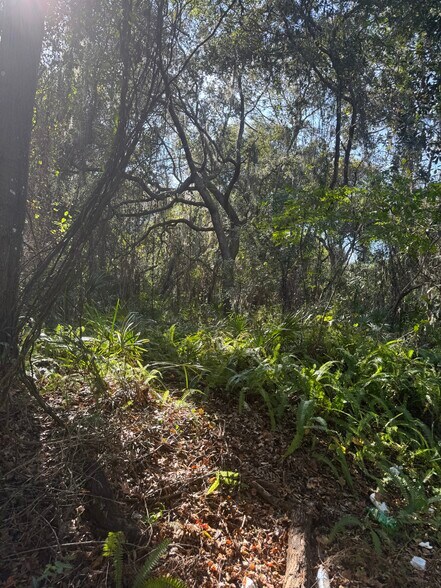 Franklin St, Oviedo, FL for sale - Building Photo - Image 3 of 6