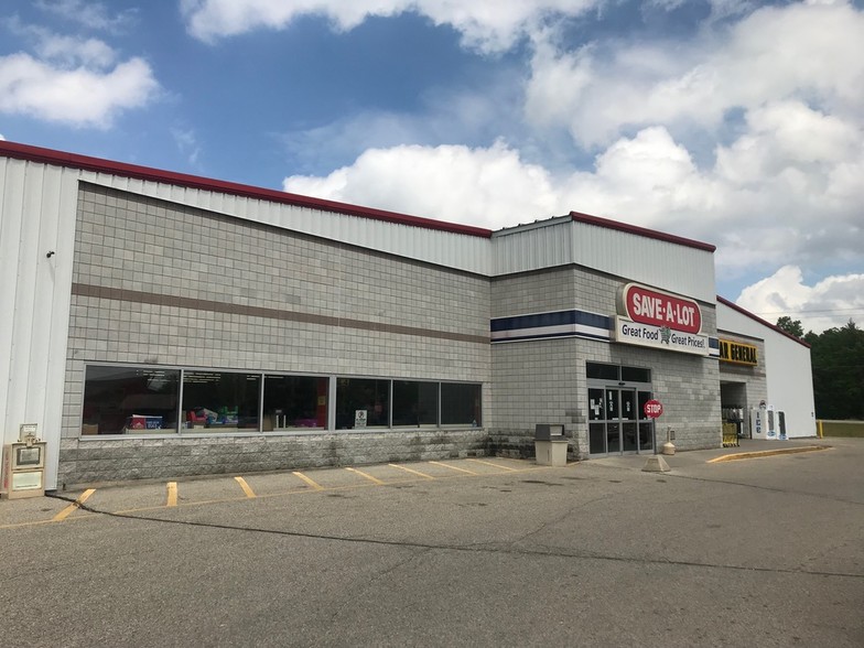 740 Denmark St, Baldwin, MI for sale - Other - Image 1 of 1