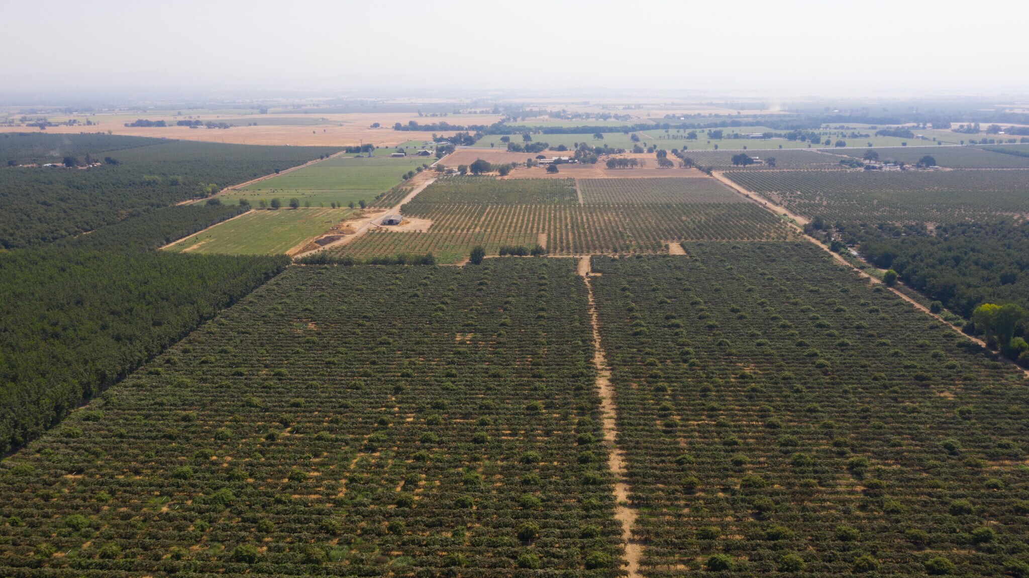 2099 Hwy 70, Biggs, CA for sale Primary Photo- Image 1 of 32