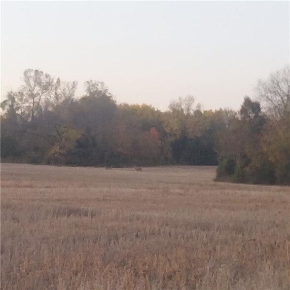 E 315th St, Drexel, MO for sale - Primary Photo - Image 1 of 1