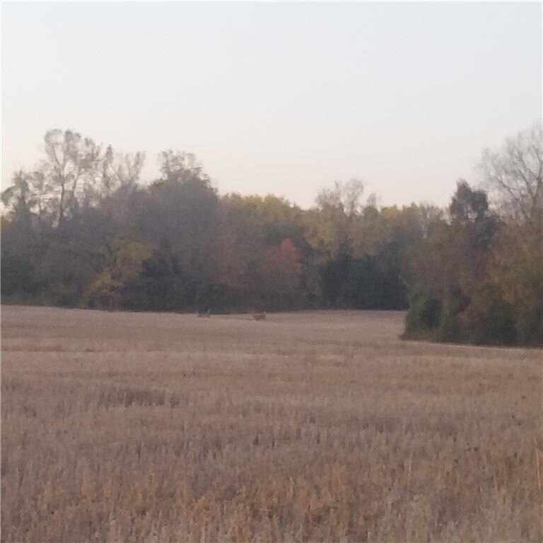 E 315th St, Drexel, MO for sale Primary Photo- Image 1 of 1