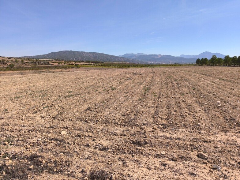 Land in PINOSO for sale - Building Photo - Image 2 of 9