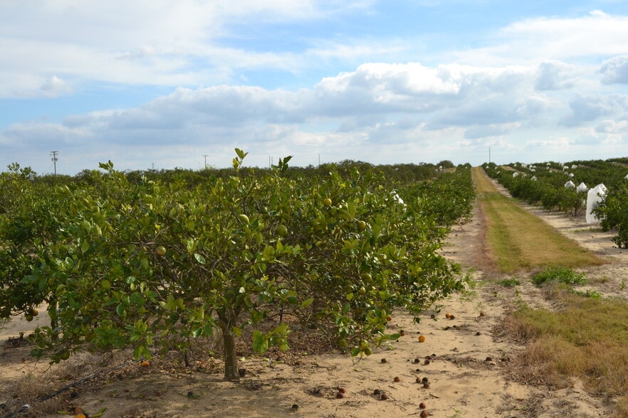 Scenic Highway, Babson Park, FL for sale - Primary Photo - Image 1 of 17