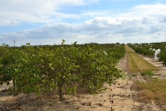 More details for Scenic Highway, Babson Park, FL - Land for Sale