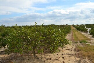 More details for Scenic Highway, Babson Park, FL - Land for Sale