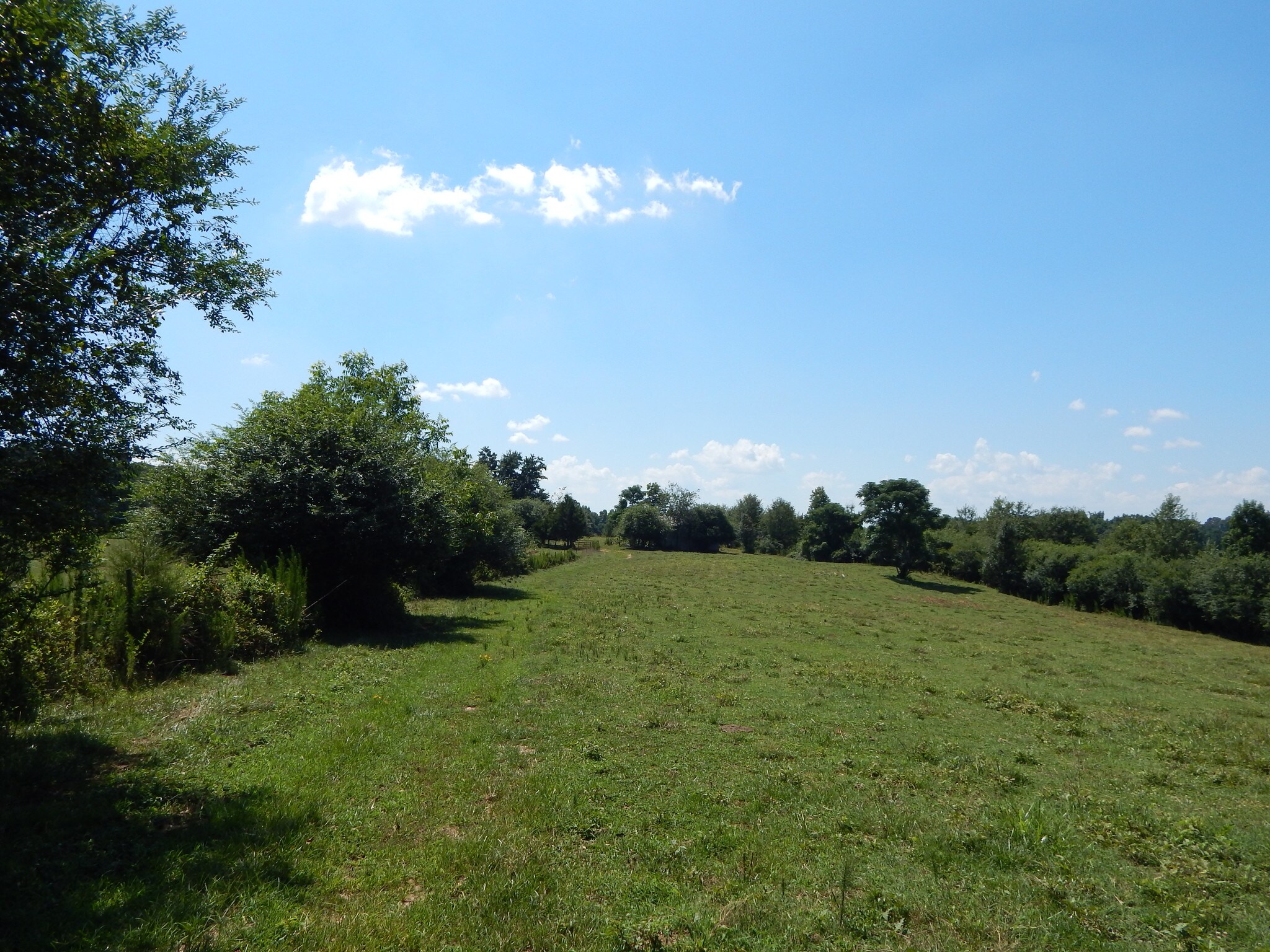 746 Homestead Rd, Danielsville, GA for sale Other- Image 1 of 1