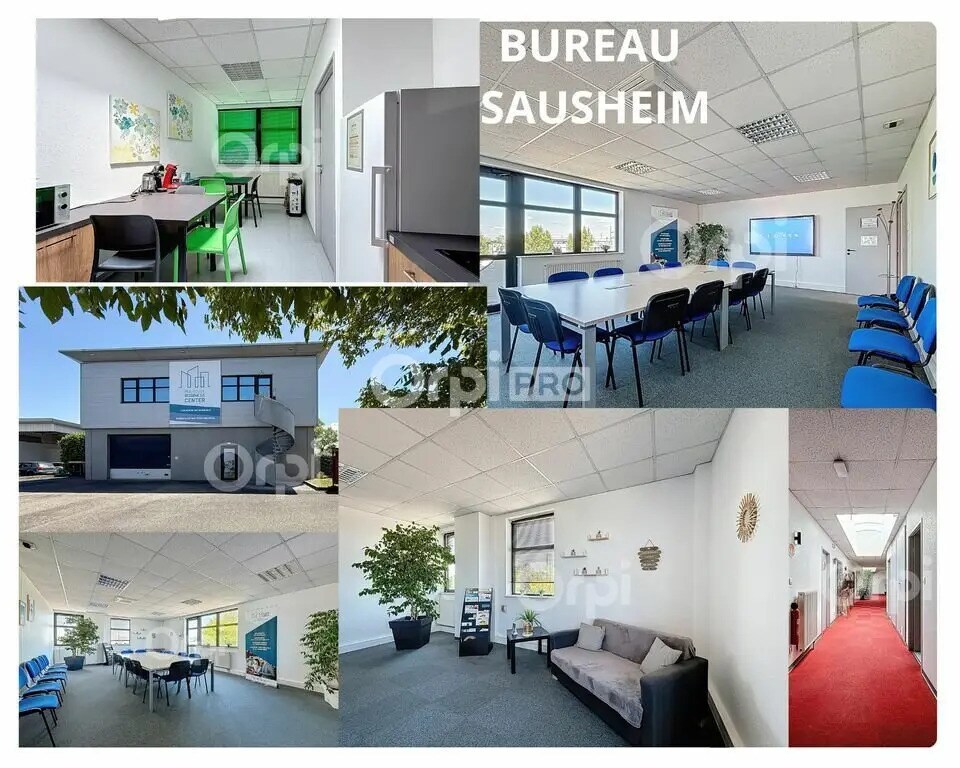 Office in Sausheim for lease Building Photo- Image 1 of 24