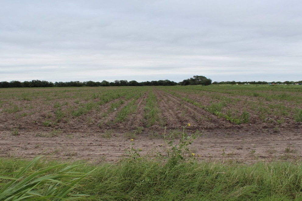 63 N Mile 4, Weslaco, TX for sale Other- Image 1 of 1