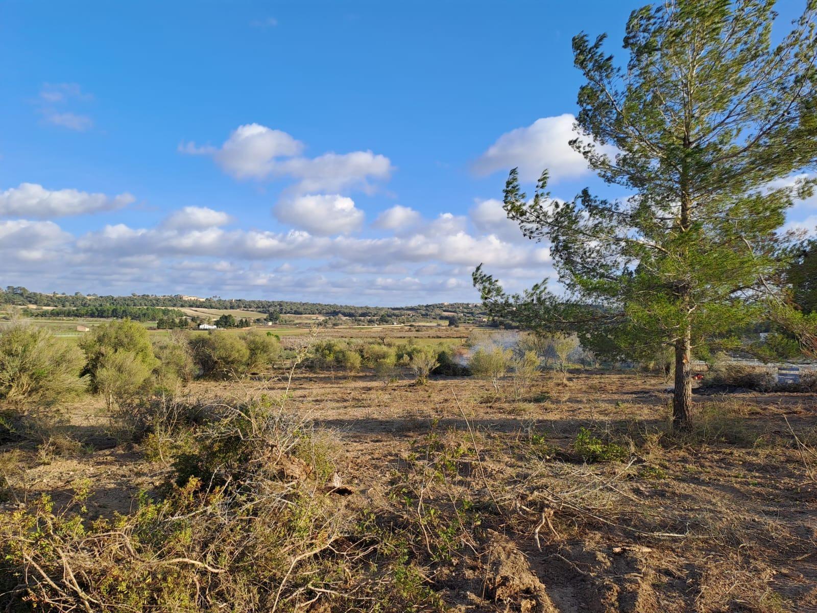 Land in Montuïri, Islas Baleares for sale Aerial- Image 1 of 11