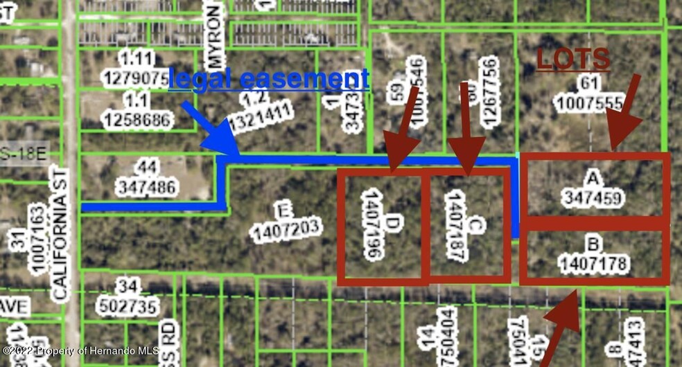 Texas Trail, Brooksville, FL for sale - Building Photo - Image 2 of 3