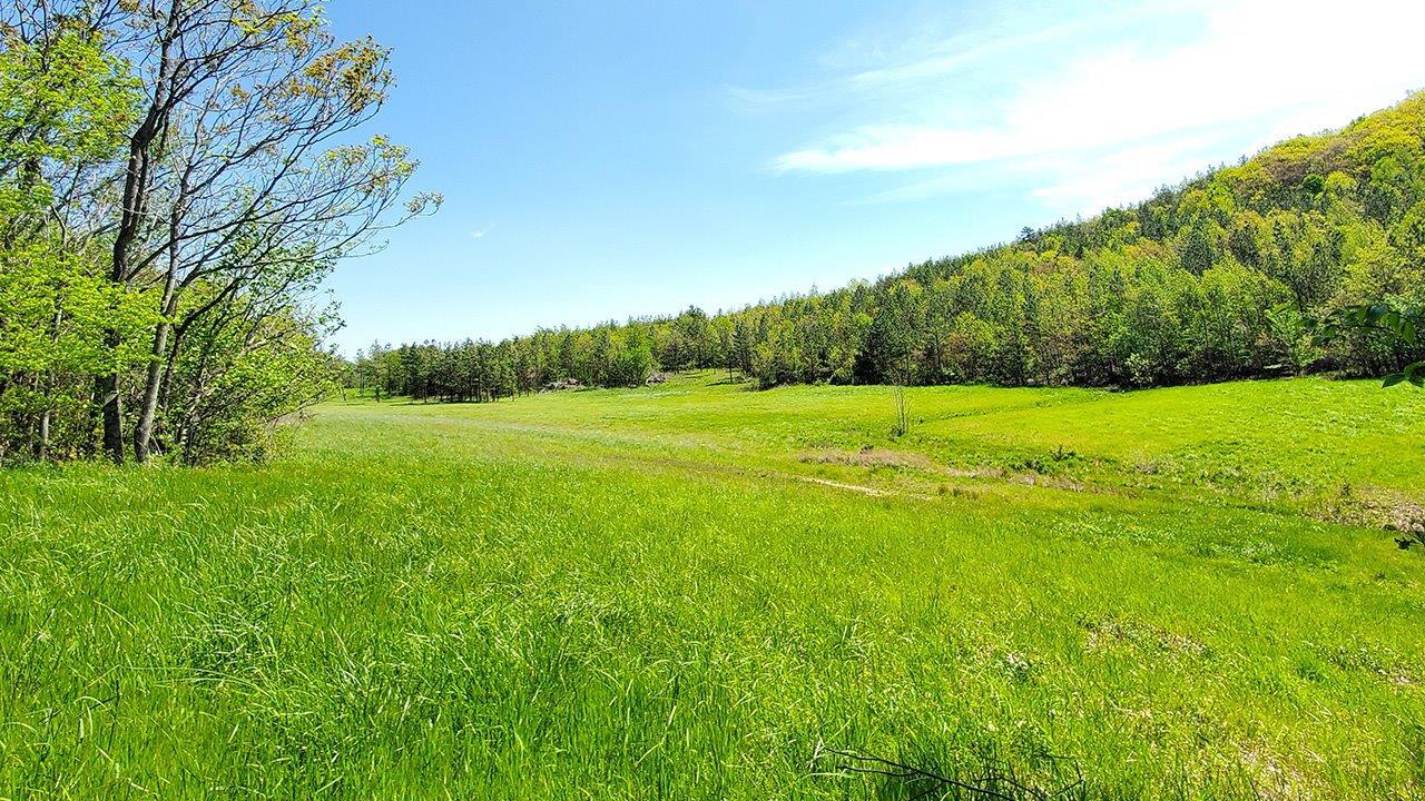 0 Narrow Passage Rd, Buchanan, VA for sale Building Photo- Image 1 of 1