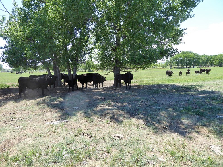 0 Musselshell River Rd, Billings, MT 59054