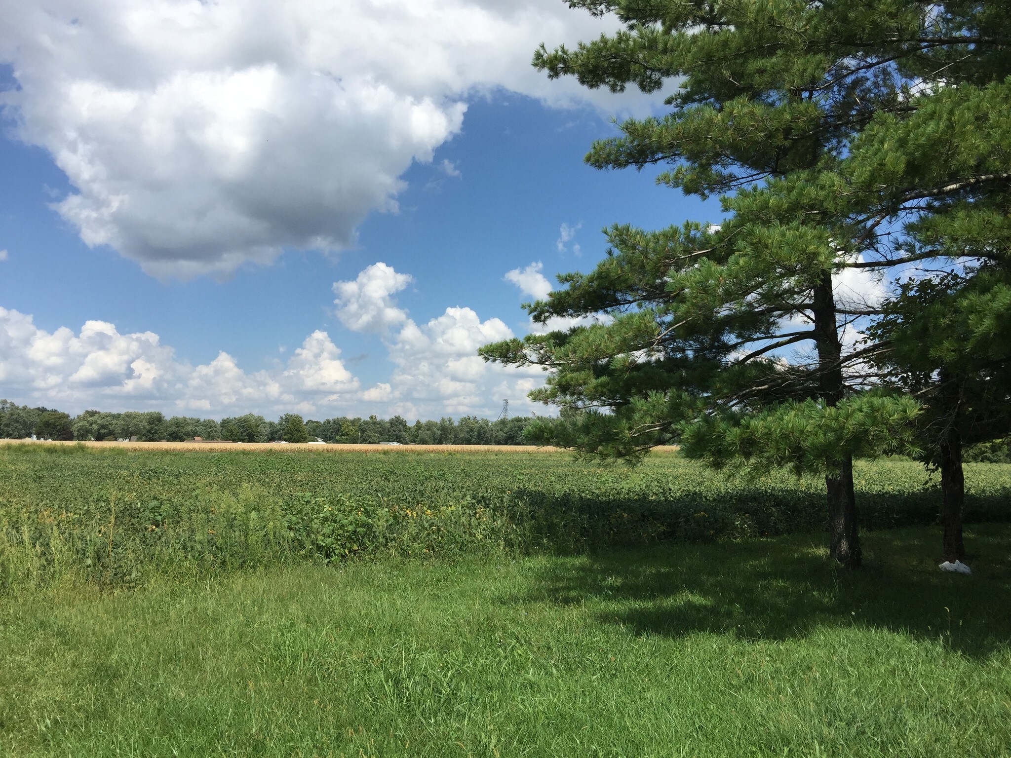 11102 S Old Route 66, Litchfield, IL for sale Other- Image 1 of 1