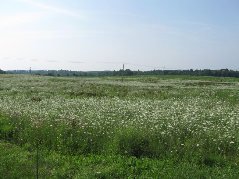 Thompson and Delphi Rd, Cazenovia, NY for sale - Building Photo - Image 1 of 1