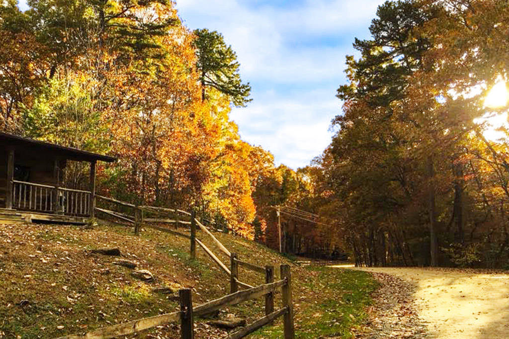 1945 Vineyard Rd, Westfield, NC 27053 Land for Sale