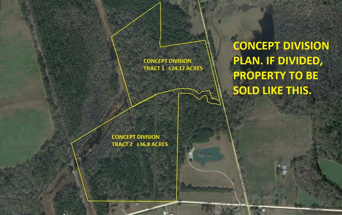 36.8 Acres Hall, Hahira, GA for sale Primary Photo- Image 1 of 1